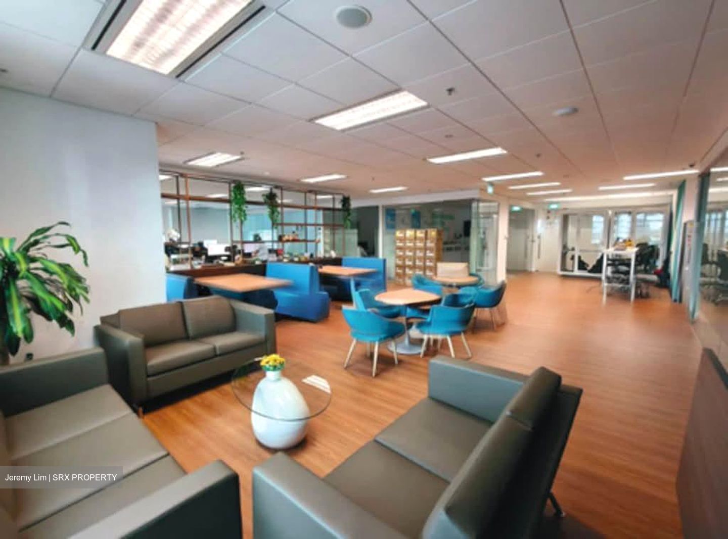 Bugis Junction (D7), Office #554261491